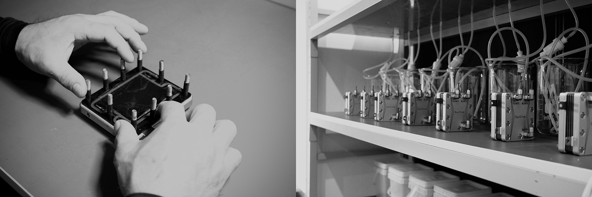 電解槽の組み立て