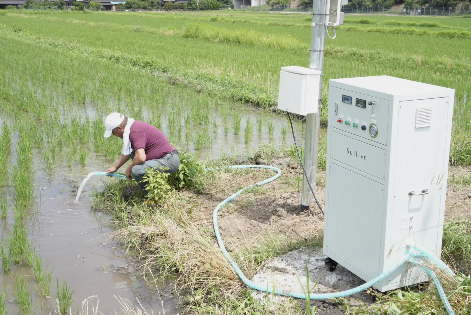 水素吸入器メーカーが水素農業「水素米」の挑戦へ。 | SUISO JAPAN