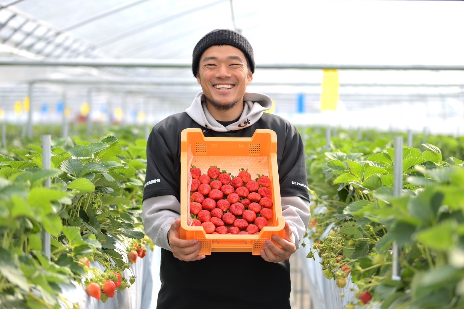 日本製水素吸入器を手がけるSuiliveの機器を用いて共同研究に着手する樋口さん